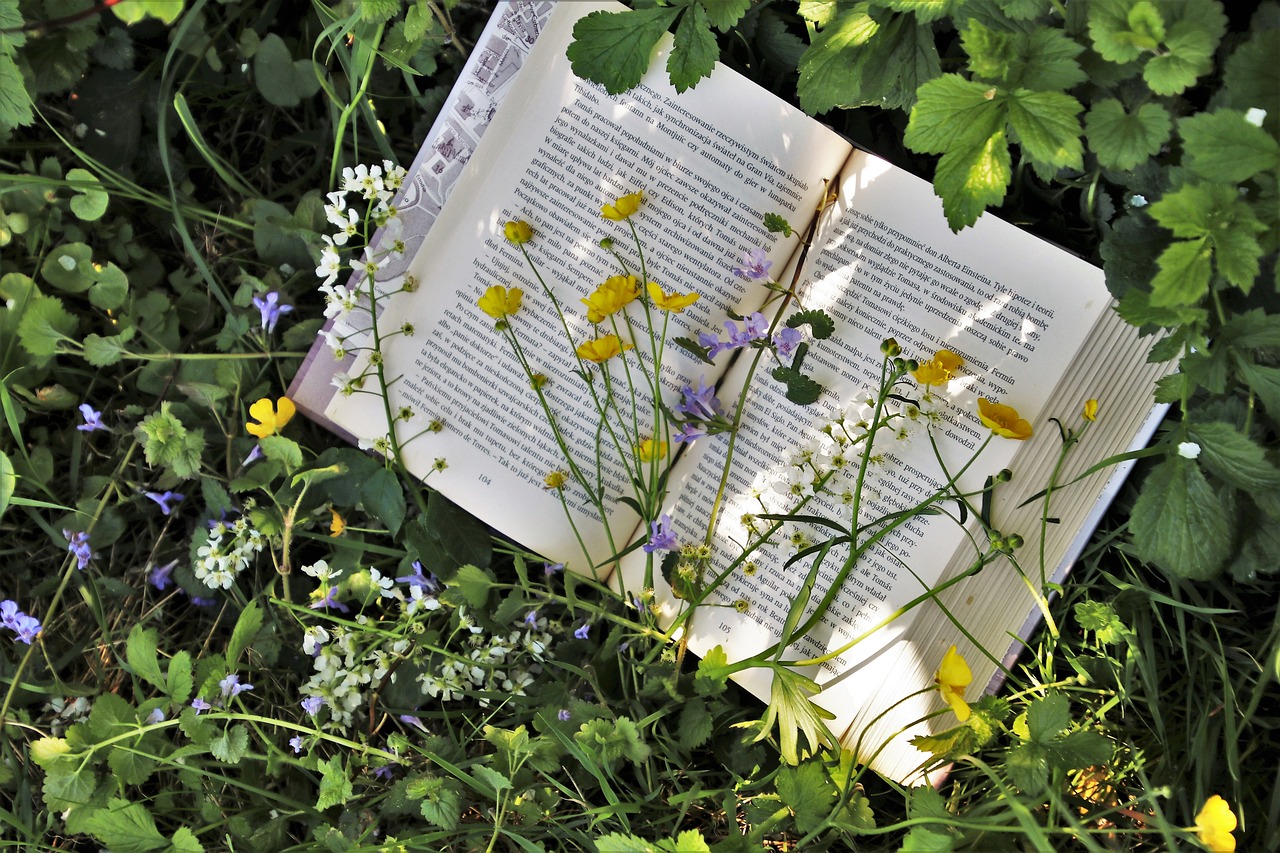reading, plant, nature-3355230.jpg